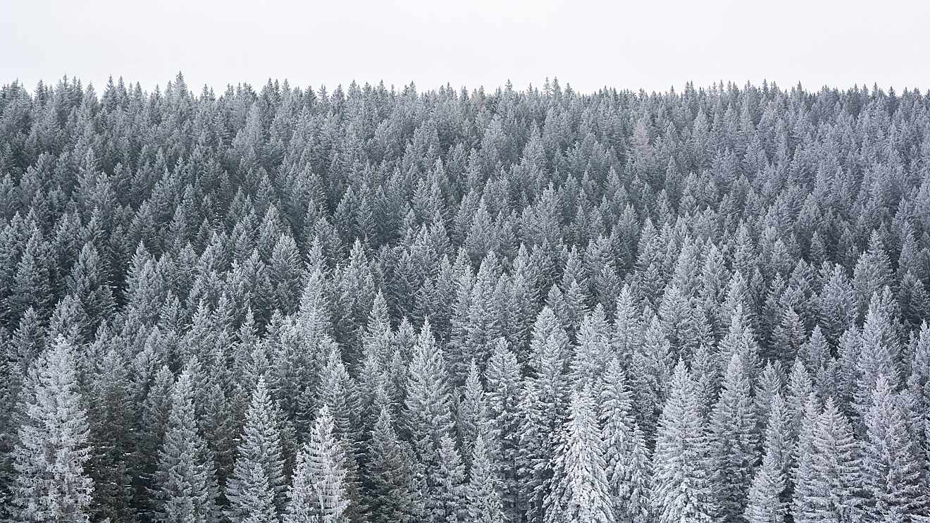 SWAY, clothes Fair & Square SWAY SWAY